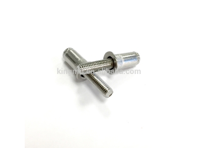 Pressure Riveting Head Screws In Stainless Steel DIN933