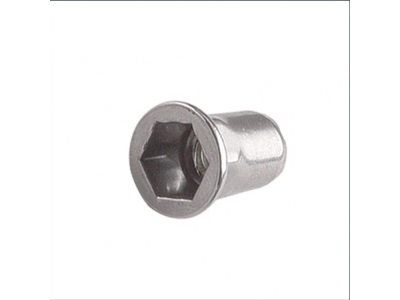 Quality warrantee M36-M56 hex head rivet nut